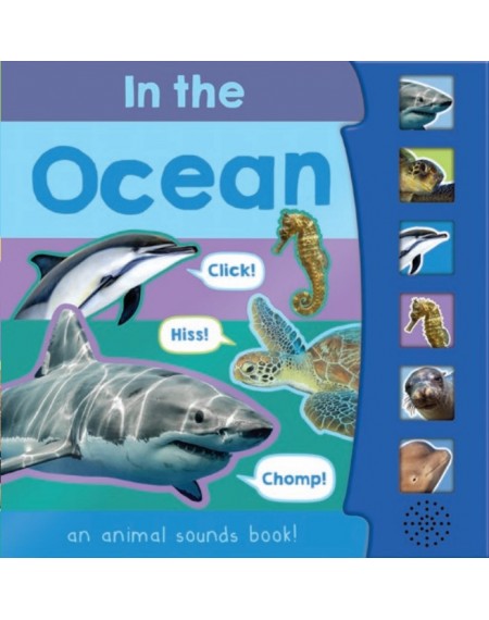 In the ocean 6 Button Sound Books