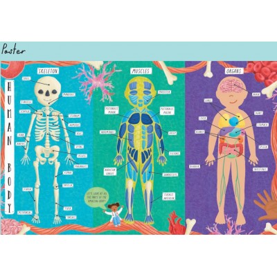 Lift the flap/ Slider Books