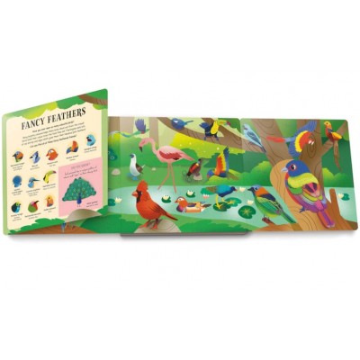 Lift the flap/ Slider Books