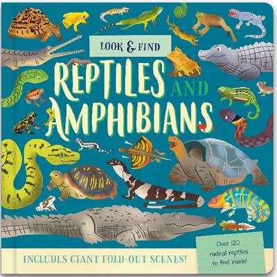 Lift the flap/ Slider Books