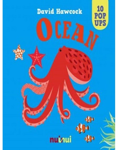 Amazing Pop Up : Ocean
