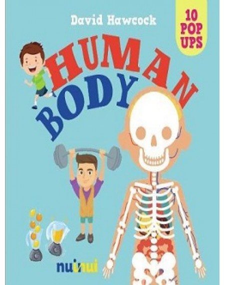 Amazing Pop UP : Human Body