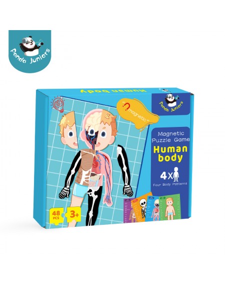Magnetic Game Set : Human Body