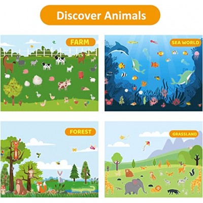 Sticker Activity Book