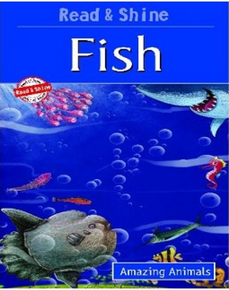 Amazing Animals : Fish