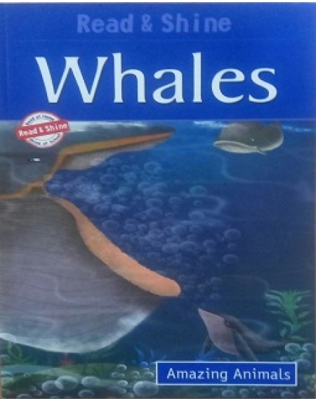 Amazing Animals : Whales