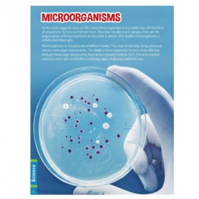 (7-12 years old) children's book