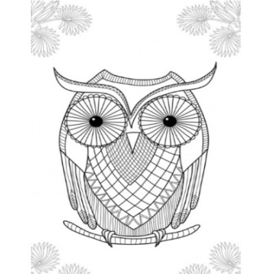 Adult Colouring/Colour Book