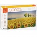 300 Piece Jigsaw