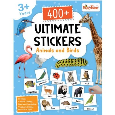 Sticker Activity Book