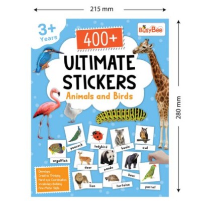 Sticker Activity Book