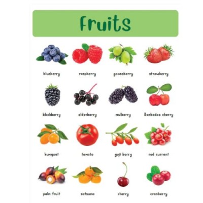 Sticker Activity Book