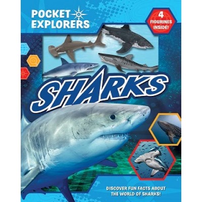 (7-12 years old) children's book