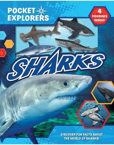 Pocket Explorers : Sharks