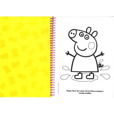 Deluxe Poster Paint & Colour