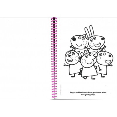 Deluxe Poster Paint & Colour