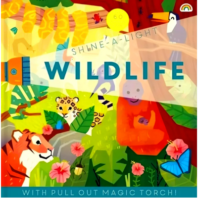 Books & Toys