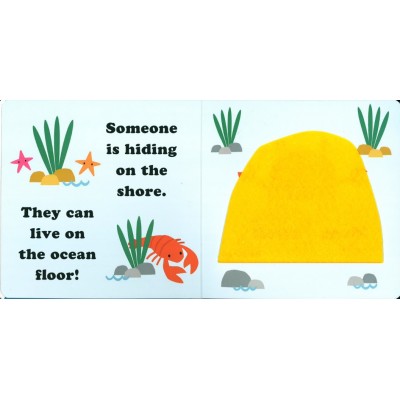 Lift the flap/ Slider Book