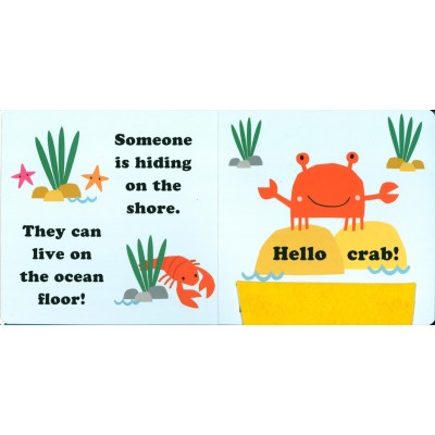 Lift the flap/ Slider Book