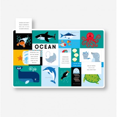 Lift the flap/ Slider Book