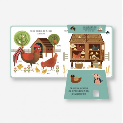 Lift the flap/ Slider Book