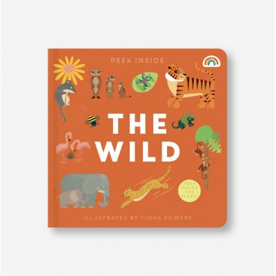 Lift the flap/ Slider Book