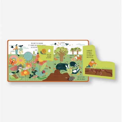 Lift the flap/ Slider Book