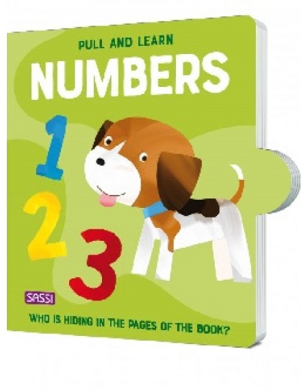 Pull And Learn : Numbers