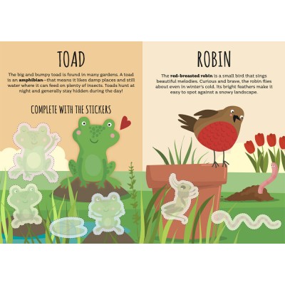 Sticker Activity Book