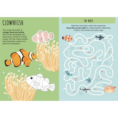 Sticker Activity Book