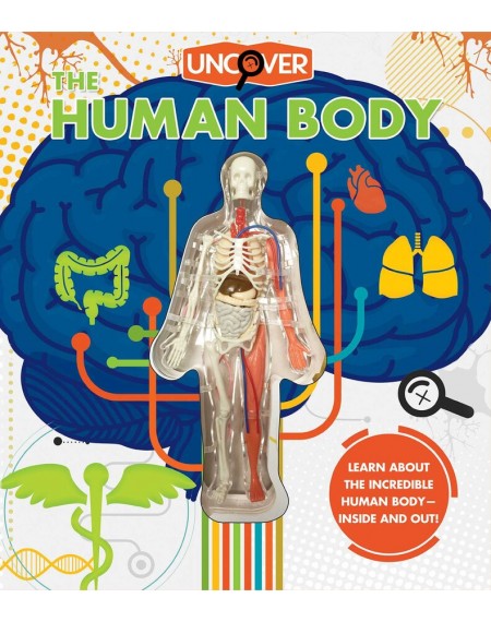 Uncover the Human Body