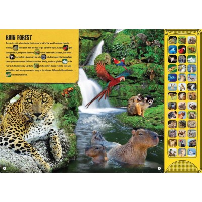 (3-7 years old) children's book