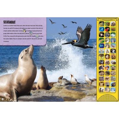 (3-7 years old) children's book