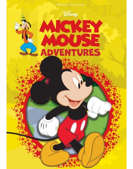 Disney Mickey adventure