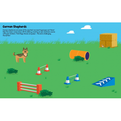 Sticker Activity Book