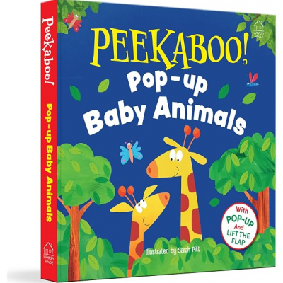 Pop Up Book