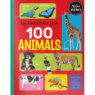 Sticker Activity Book