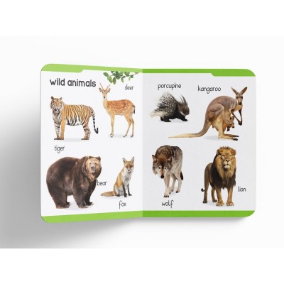 (0-3 years old) children book