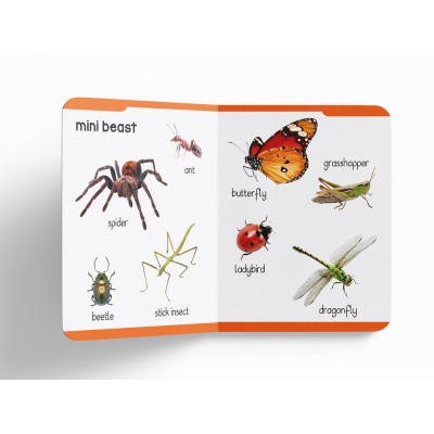 (0-3 years old) children book