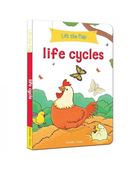 Lift the Flap: Life cycles