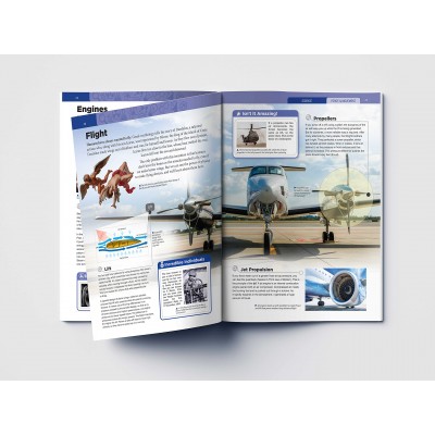 Encyclopaedic/ encyclopedic