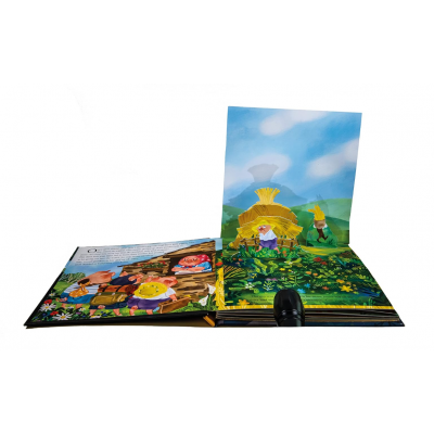 Pop Up Book