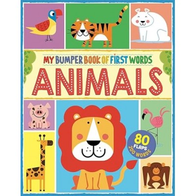 Lift the flap/ Slider Book